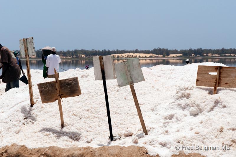 20090529_134012 D3 (1) P1 P1.jpg - Mounds of salt belong to the individual worker,  who marks her territory with a sign